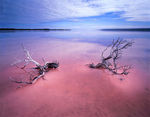 Australien, Pink Lagoon